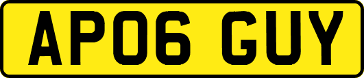AP06GUY