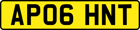 AP06HNT