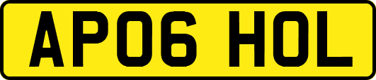 AP06HOL