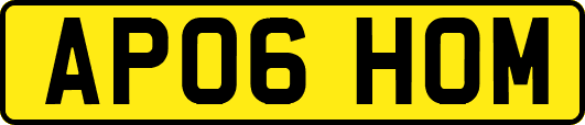AP06HOM