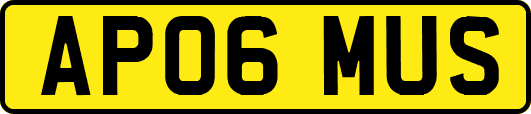 AP06MUS