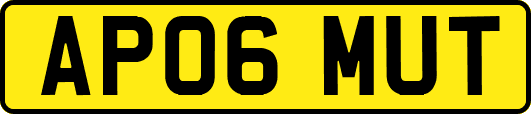 AP06MUT