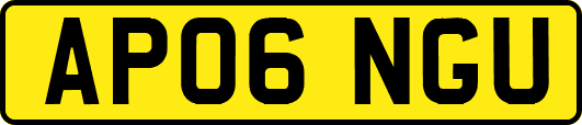 AP06NGU
