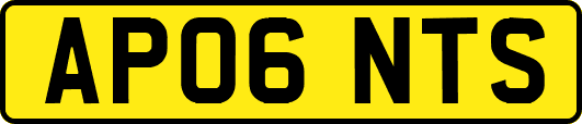 AP06NTS