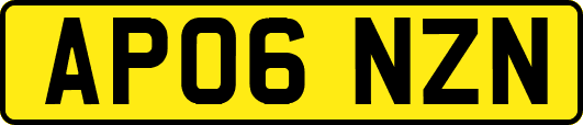 AP06NZN