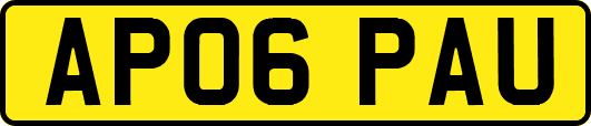 AP06PAU