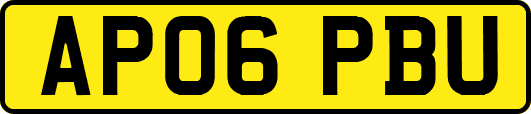 AP06PBU