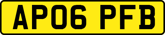AP06PFB