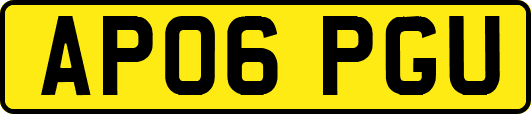 AP06PGU