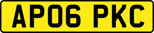 AP06PKC