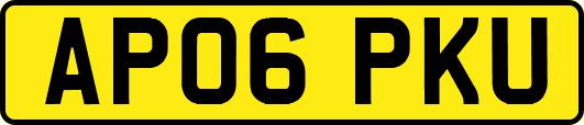AP06PKU