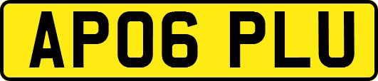AP06PLU