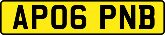 AP06PNB
