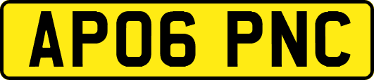 AP06PNC