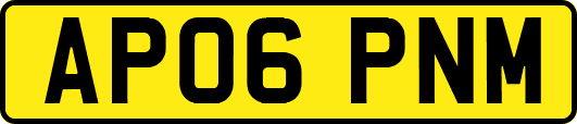 AP06PNM
