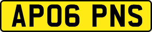 AP06PNS