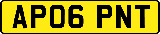 AP06PNT