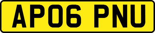 AP06PNU