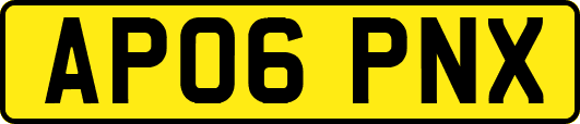 AP06PNX