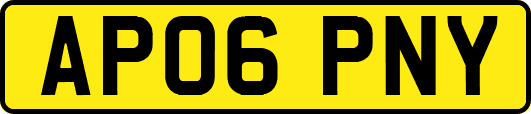 AP06PNY