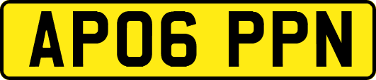 AP06PPN