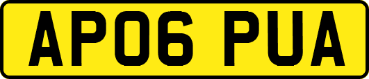 AP06PUA