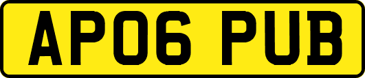 AP06PUB