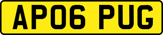 AP06PUG