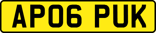 AP06PUK