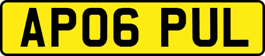AP06PUL