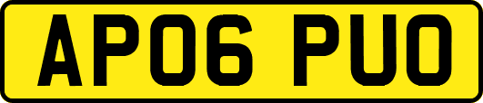 AP06PUO