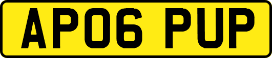 AP06PUP