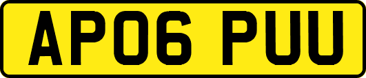 AP06PUU