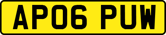 AP06PUW