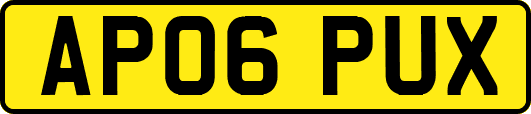 AP06PUX