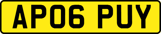 AP06PUY