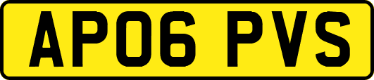 AP06PVS