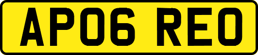 AP06REO