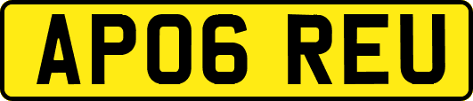 AP06REU