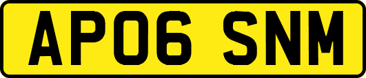 AP06SNM