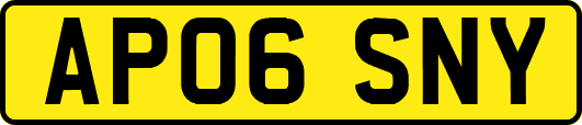 AP06SNY