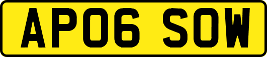 AP06SOW