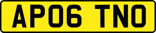 AP06TNO