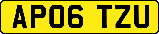 AP06TZU