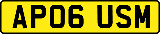 AP06USM
