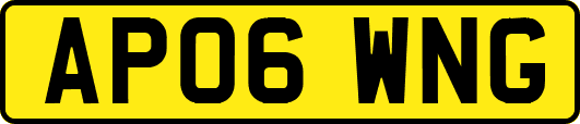 AP06WNG