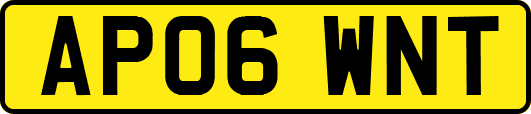 AP06WNT