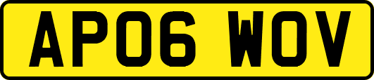 AP06WOV