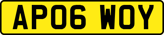 AP06WOY