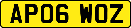 AP06WOZ